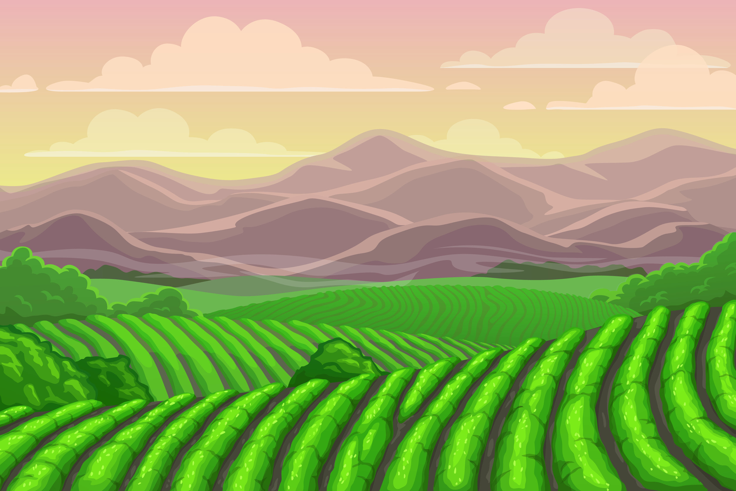 Our story mountain high organics